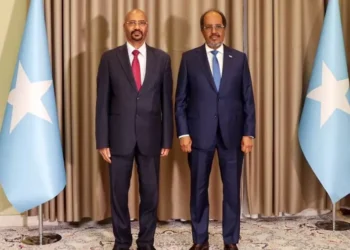 L'Éthiopie nomme un nouvel envoyé en Somalie, signe de l'amélioration des relations