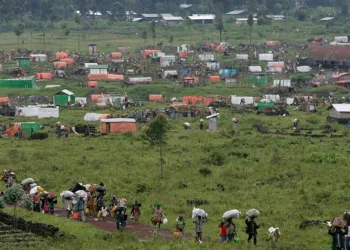 L'Ouganda rouvre sa frontière avec l'est de la RDC, sous contrôle du M23