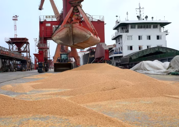 La Chine autorise les importations de tourteau de soja éthiopien pour diversifier son approvisionnement