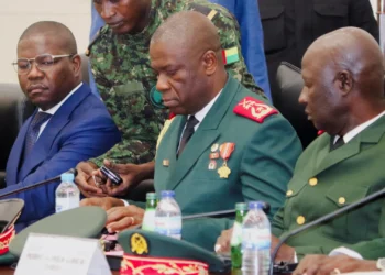 La Guinée-Bissau organisera des élections générales le 6 décembre.