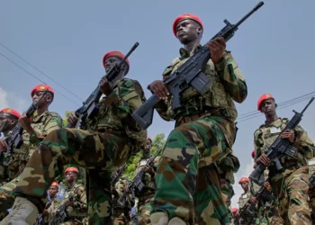 La Somalie annonce la mort de dizaines de combattants d'Al-Shabab lors d'une opération militaire.