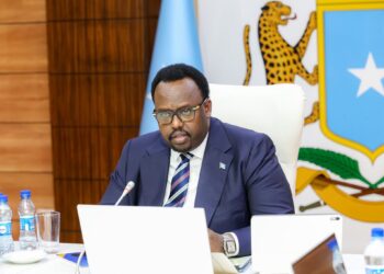 La Somalie annule tous ses accords avec les Émirats arabes unis