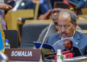 La Somalie mène la contestation internationale contre Israël suite à la reconnaissance du Somaliland
