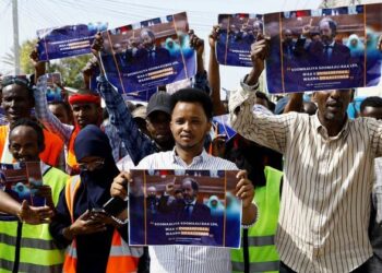 La Turquie joue un rôle de médiateur entre la Somalie et l'Éthiopie pour négocier un accord portuaire (responsables)