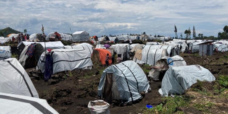 La crise de santé mentale s’aggrave dans le contexte du conflit en cours dans l’est du Congo