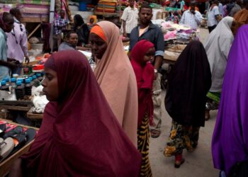 La croissance économique somalienne est mitigée, selon la BAD