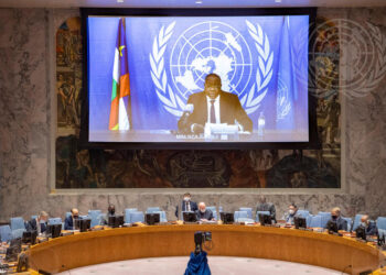 Le Conseil de sécurité de l’ONU lève l’embargo sur les armes contre la République centrafricaine