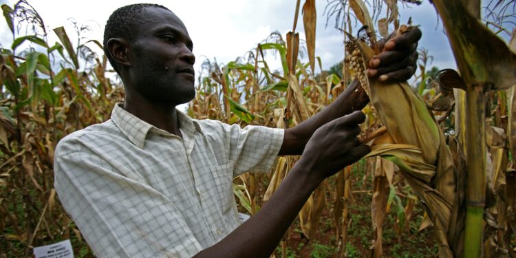 Le FMI va évaluer l'impact de la sécheresse sur l'économie de la Zambie