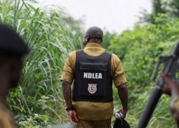 Le Nigeria démantèle un laboratoire de méthamphétamine alors que les cartels mexicains étendent leur influence dans le pays.