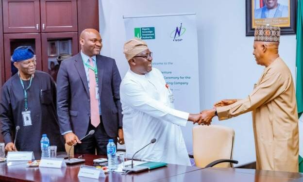 Le Nigeria lance une méga centrale solaire pour renforcer le réseau national