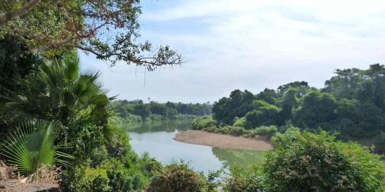 Le Parc national du Niokolo-Koba au Sénégal retiré de la Liste du patrimoine mondial en péril