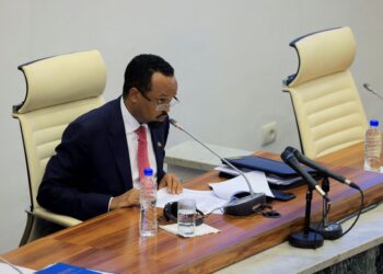 Le Parlement éthiopien approuve 4,8 milliards de dollars supplémentaires de dépenses pour l'exercice 2024/25