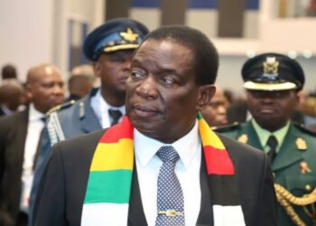 Le Parlement zimbabwéen approuve la prolongation du mandat présidentiel de deux ans.