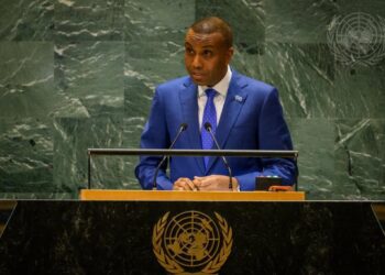Le Premier ministre somalien à l'Ethiopie : la Somalie a « le droit de défendre son intégrité territoriale »