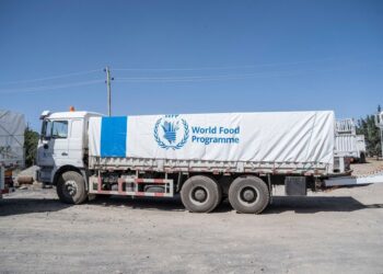 Le Programme alimentaire mondial suspend son aide à 650 000 femmes et enfants en Éthiopie