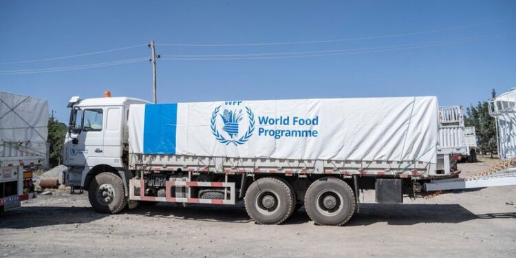Le Programme alimentaire mondial suspend son aide à 650 000 femmes et enfants en Éthiopie