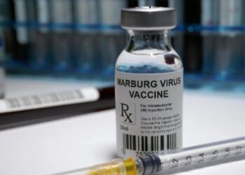 Le Rwanda va lancer dans quelques semaines des essais cliniques de vaccins et de traitements contre la maladie de Marbug