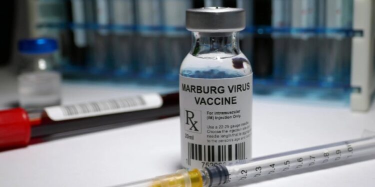 Le Rwanda va lancer dans quelques semaines des essais cliniques de vaccins et de traitements contre la maladie de Marbug