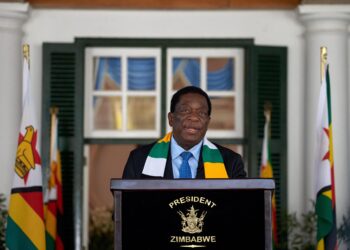Le Zimbabwe annonce le retour de près de 100 000 de ses citoyens en Afrique du Sud.