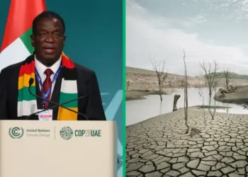 Le Zimbabwe déclare une catastrophe due à la sécheresse
