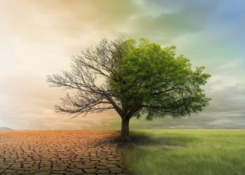 Le changement climatique menace l'agriculture au Nigeria