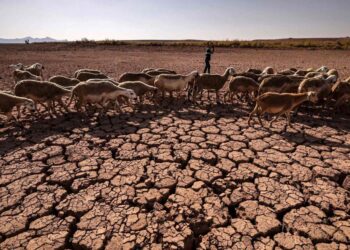 Le coût élevé du changement climatique pour l'Afrique