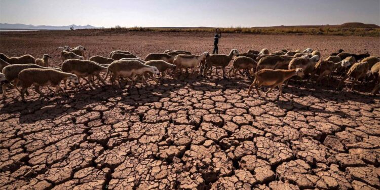 Le coût élevé du changement climatique pour l'Afrique
