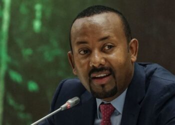 Le dirigeant éthiopien minimise les craintes d'un conflit avec la Somalie à propos d'un projet de port naval