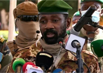 Le gouvernement militaire malien suspend les activités des partis politiques