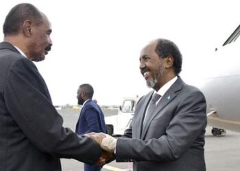 Le président somalien s'entretient sur la sécurité avec le dirigeant érythréen