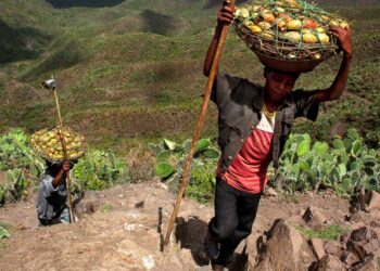 Le sol africain est-il suffisamment sain pour assurer la sécurité alimentaire ? [Affaires Afrique]