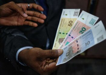 Les Zimbabwéens contraints d'utiliser le dollar américain en l'absence de nouvelle monnaie ZiG