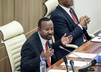 Les députés éthiopiens approuvent l'état d'urgence dans la région d'Amhara