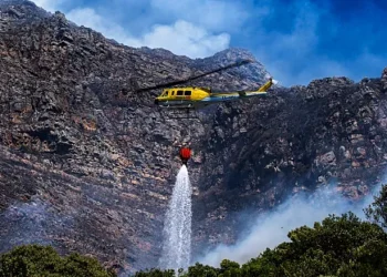 Près de 200 foyers du Cap évacués suite à un incendie de forêt.