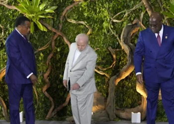 Les nations africaines et asiatiques des forêts tropicales se joignent au sommet de l'Amazonie pour discuter de la préservation