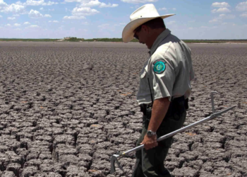 Les pays africains perdent 5 % de leur PIB à cause du changement climatique - Rapport