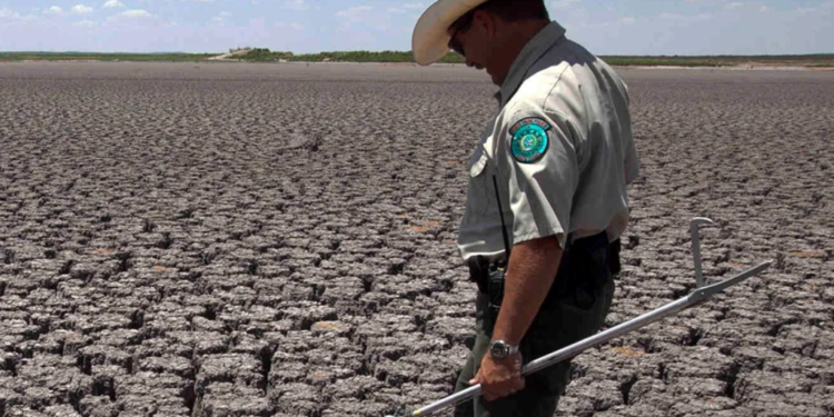 Les pays africains perdent 5 % de leur PIB à cause du changement climatique - Rapport