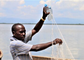 Au Congo, les pêcheurs abandonnent leurs filets au profit des déchets plastiques.