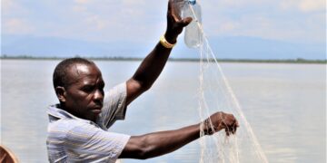 Au Congo, les pêcheurs abandonnent leurs filets au profit des déchets plastiques.