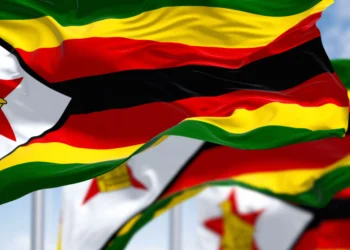 Au Zimbabwe, les sociétés funéraires se développent pour apporter leur soutien aux familles endeuillées.