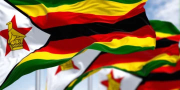 Au Zimbabwe, les sociétés funéraires se développent pour apporter leur soutien aux familles endeuillées.