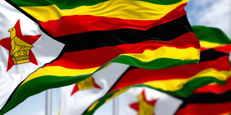 Au Zimbabwe, les sociétés funéraires se développent pour apporter leur soutien aux familles endeuillées.