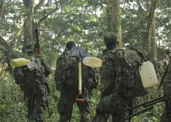 Les tueurs de deux touristes et de leur guide abattus – armée ougandaise