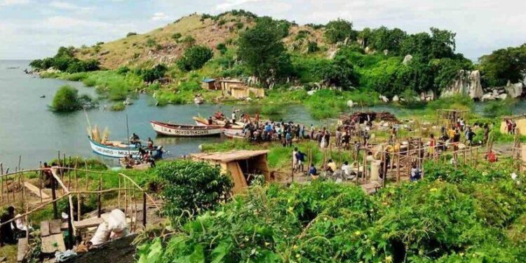 L'île de Mbenje, sur le lac Malawi, protège des stocks de poissons essentiels grâce à une interdiction annuelle de la pêche.