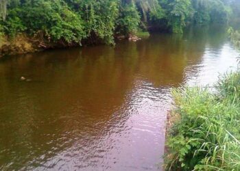 Lutte contre l'orpaillage illégal : Initiatives communautaires au Ghana