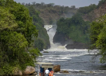 Meurtre de touristes en Ouganda : Londres recommande d'éviter les parcs nationaux
