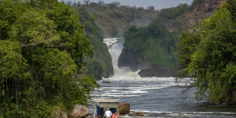 Meurtre de touristes en Ouganda : Londres recommande d'éviter les parcs nationaux