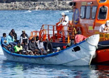 Migration vers les îles Canaries