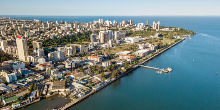 Mozambique : Des crocodiles font leur apparition dans les villes en pleine crue