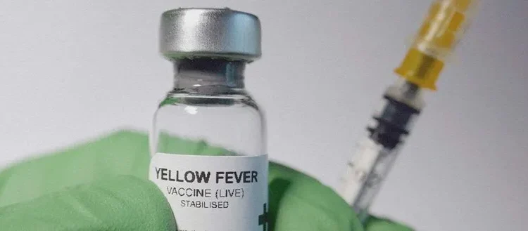 Ouganda : les autorités intensifient leur campagne contre la fièvre jaune face à l’hésitation à la vaccination